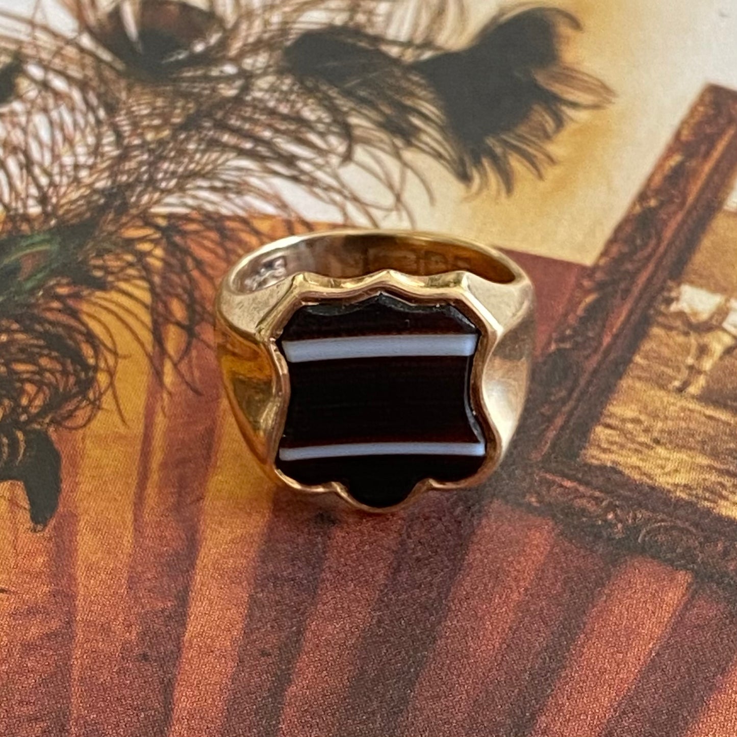 9ct Gold Banded Agate Shield Signet Ring | Size UK H